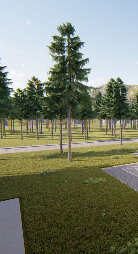 Marmaris - Eğitim Kampüsü Tasarım Projesi