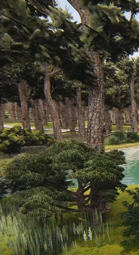 Marmaris - MTA Kampı Peyzaj Planlama ve Tasarım Projesi